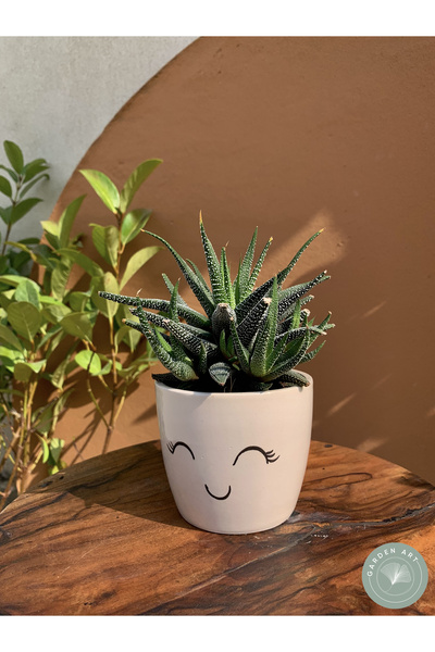 Garden Art El Yapımı Gülen Yüz Desen Detaylı Saksı 9 cm