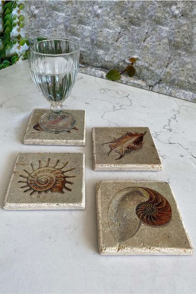 Gri Grafik Design Workshop Sea Shell Theme Uv Printed Stone Coasters Set of 4 Mod-1