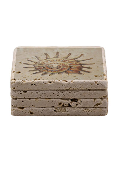 Gri Grafik Design Workshop Sea Shell Theme Uv Printed Stone Coasters Set of 4 Mod-1