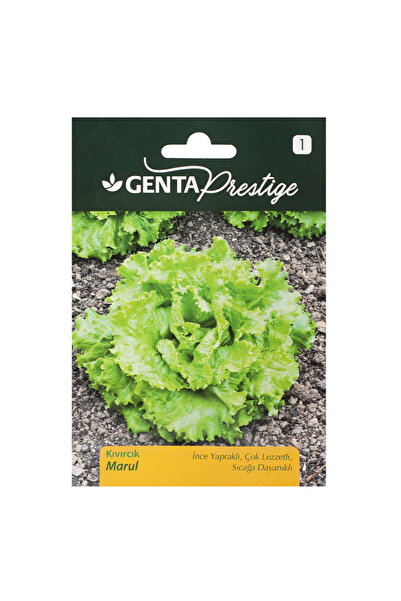 Genta Prestige Sebze Tohumu Kıvırcık Marul
