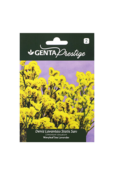Genta Prestige Çiçek Tohumu Deniz Lavantası - Statis Sarı