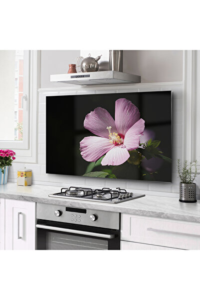 PRATİK DEKOR Protector din sticlă pentru spatele aragazului Protector încorpo...