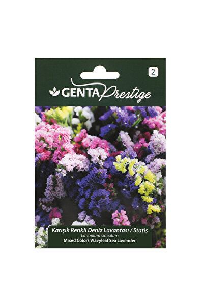 Genta Prestige Çiçek Tohumu Karışık Renkli Deniz Lavantası - Statis