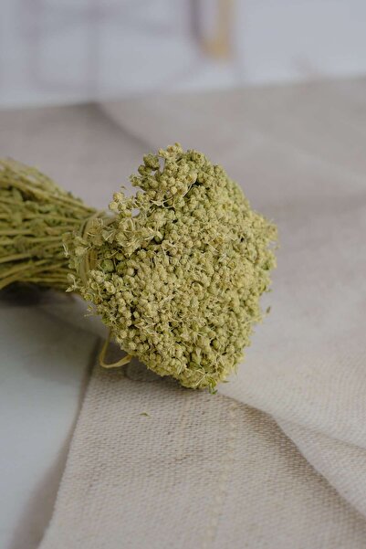 birgi köy evi Eşek Kekiği Bağ