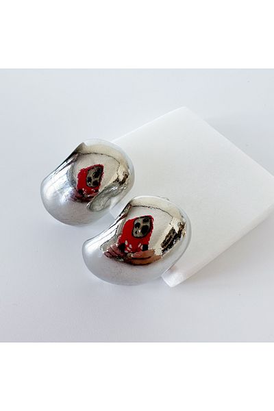 CHARMLUCKY Steel Earrings