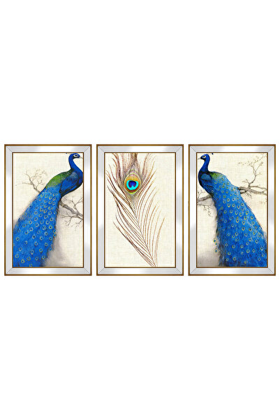 dbsanat Mavi Tavus Kuşu Temalı 3 lü Kanvas Tablo Seti