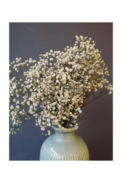 Hobigram Τεχνητό λουλούδι Dry Flower 1ης ποιότητας Shocked Non-Shedding Natural White Cipso Bunch – Τεχνητό λουλούδι ντεκόρ