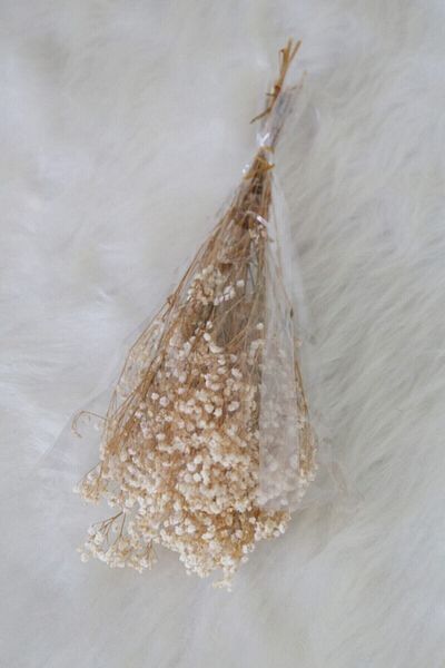 Hobigram Τεχνητό λουλούδι Dry Flower Shocked Cipso Natural – Τεχνητό & Ξηρό Λουλούδι, Κομψό Σχέδιο, Γυναικείο Αξεσουάρ – Y
