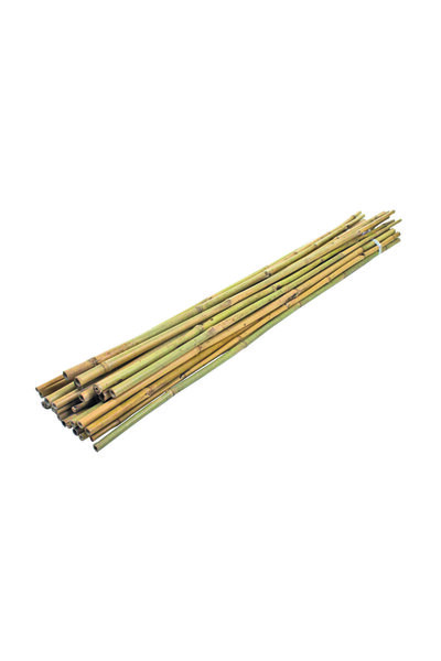 Bahçem Bambu 10lu Bitki Destek Çubuğu 60 cm