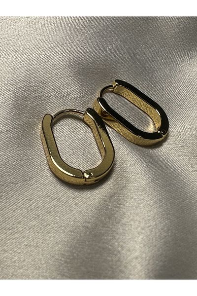 sorella Accessory Oval Cut Gold Steel Earrings