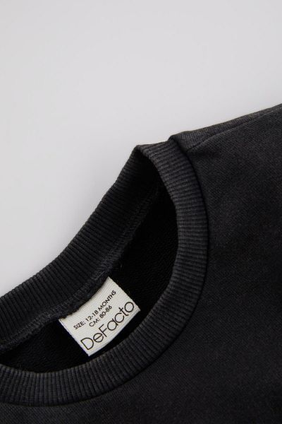 DeFacto Baby Boy Regular Fit Crew Neck Printed Soft Lined Thin Sweatshirt Fabric Sweatshirt