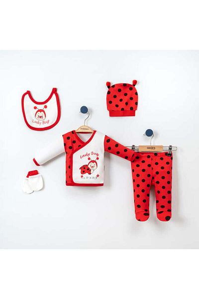 Necix's Ladybug Hospital Exit Set of Five