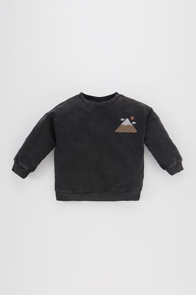 DeFacto Baby Boy Regular Fit Crew Neck Printed Soft Lined Thin Sweatshirt Fabric Sweatshirt