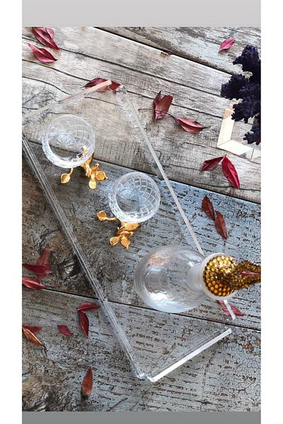 Queen Bee İstanbul Bar Type Transparent Plexiglass Serving and Presentation Tray 40x17cm