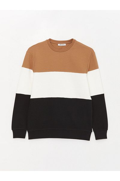 LC Waikiki Crew Neck Long Sleeve Color Block Men's Sweatshirt