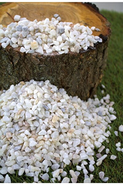 Doğalsan Tarım Dolomit Taş 2 Kg 0,5-1 Cm Beyaz Renk Dere Taşı Çakıl Taşı Bahçe Süs Taşı Akvaryum Teraryum Taş No.1m