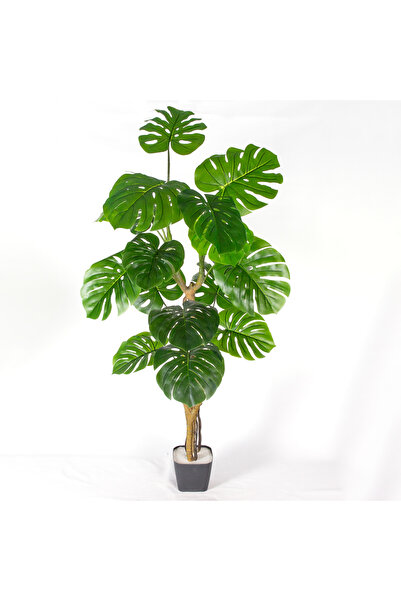 Herdekora Yapay Ağaç Monstera-Deve Tabanı Gerçek Dokulu 16 Yaprak Yeşil 160 Cm.