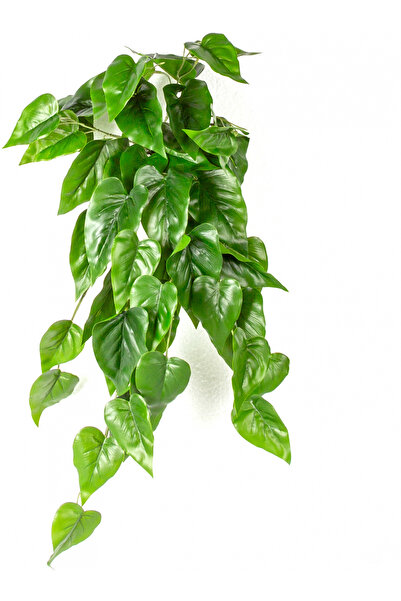 Herdekora Yapay Bitki Asılabilir Sarmaşık Anthurium-Antoryum Gerçek Dokulu Ye...