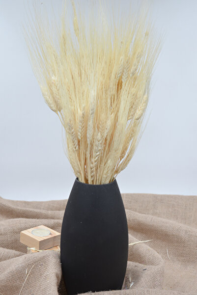 Dekora Çiçek ربطة عنق من القمح الأبيض