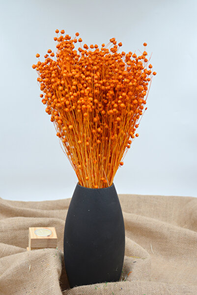 Dekora Çiçek Kurutulmuş Keten Otu (Luna otu) Turuncu