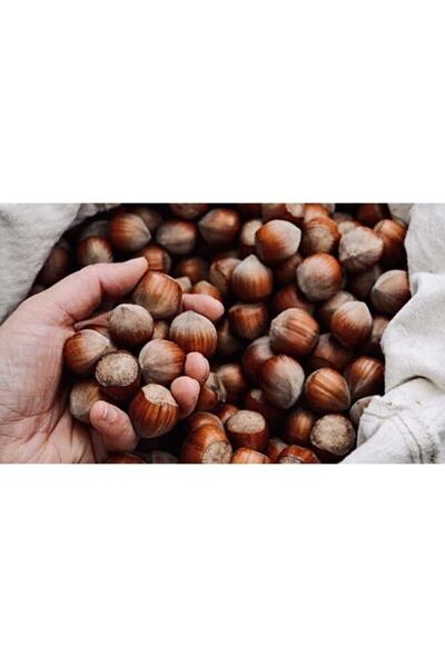 İthal Çiçekçilik Fındık-kabuklu Fındık-yeni Mahsul Fındık-kuruyemiş Fındık-or...