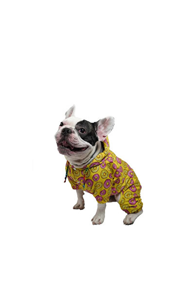 Ayşe Kendir Donut Küçük Ve Orta Irklar İçin Tulum-Mont Yağmurluk Kedi Köpek Kıyafeti