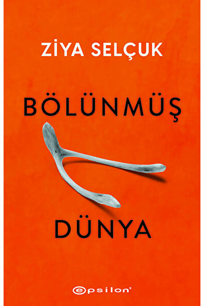 Epsilon Yayınevi Bölünmüş Dünya / Ziya Selçuk / Epsilon Yayınevi / 9786254144462