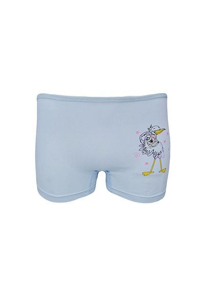 Onurel Girl's 5 Pack Mixed Color Printed Lycra Boxers