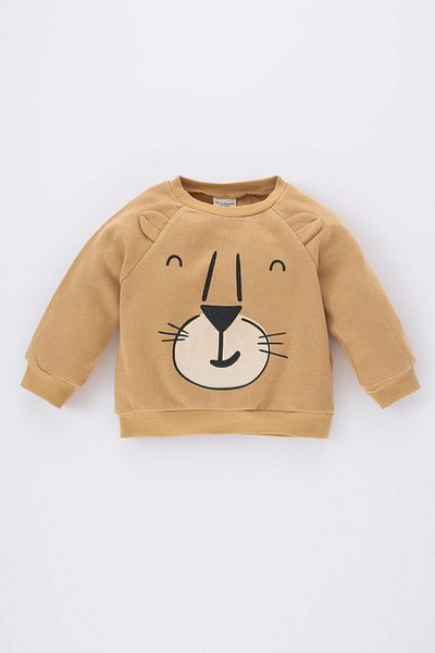 DeFacto Baby Boy Regular Fit Crew Neck 3D Soft Fuzzy Sweatshirt