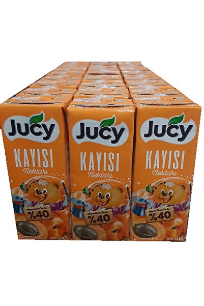 JUCY KAYISI NEKTARI 200 ML 27 Lİ PAKET