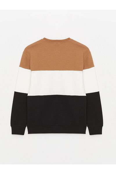 LC Waikiki Crew Neck Long Sleeve Color Block Men's Sweatshirt