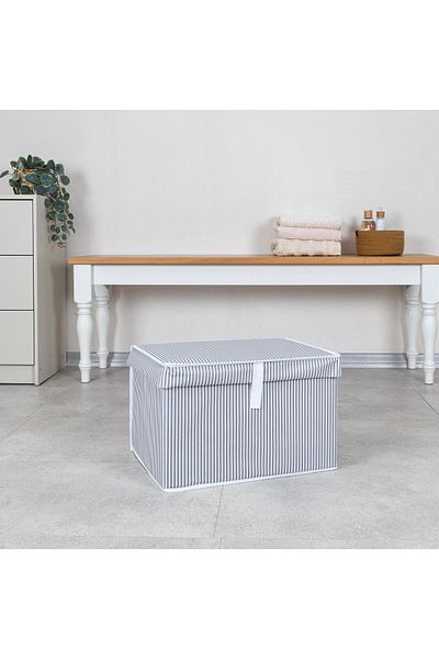 FORSACE Organizer Πολλαπλών Χρήσεων Box Mini 40x30x26 cm