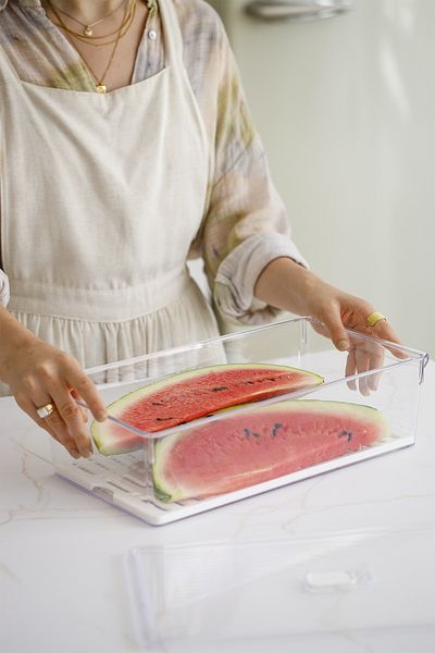 simplicity 3 Pieces Maxi Size Refrigerator Organizer with Grill