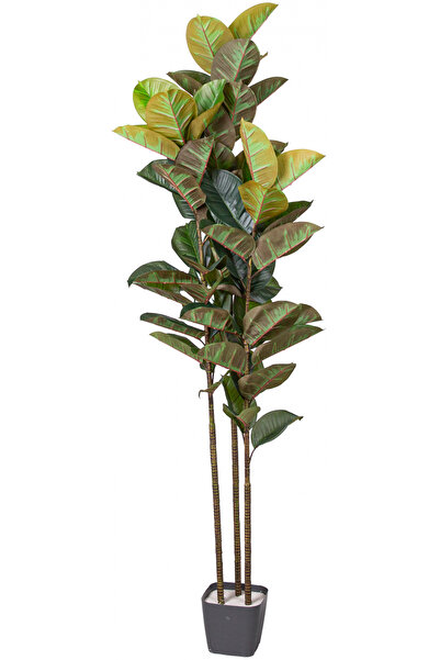 Herdekora Yapay Ağaç Kauçuk Ağacı Gerçek Dokulu 66 Yaprak Yeşil 180 Cm.