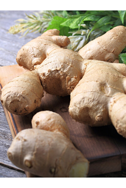 Eaktariye Taze Zencefil 50 gr