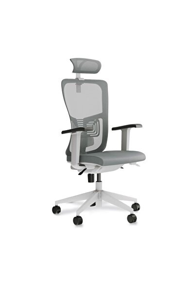 RiseOfis Lucas File Müdür Koltuğu Multi Tilt Mekanizmalı Beyaz Plastik Yıldız...