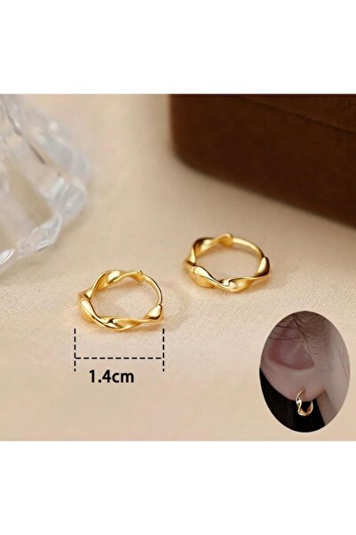 toptanhanem Çelik Gümüş Renk 1.5 Cm Burgulu Halka Küpe | Kararmaz Anti Alerjik