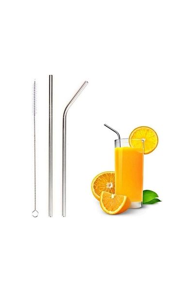 BAYSA Metal 2-Piece Straw