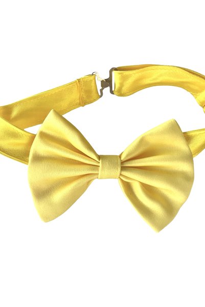 zühre balaban Yellow Bow Tie Boy