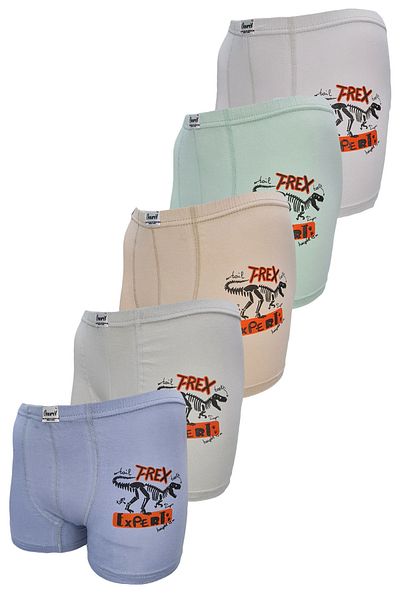 Onurel Αγόρια 5 Συσκευασία Μικτά Χρώματα T-rex Printed Lycra Boxers