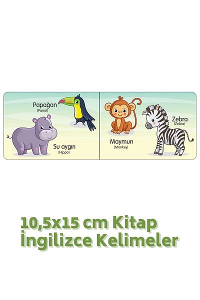 Kids Babies كتاب مملكة الحيوان كلمات تركية-انجليزية مقاس 10.5 × 15 سم