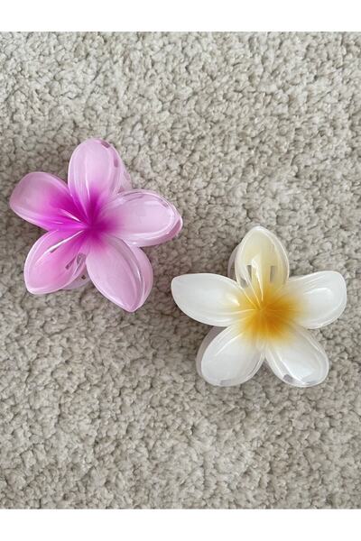 ZWEIG لوتس مشبك مجموعة من 3