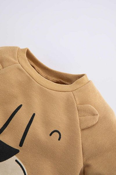 DeFacto Baby Boy Regular Fit Crew Neck 3D Soft Fuzzy Sweatshirt
