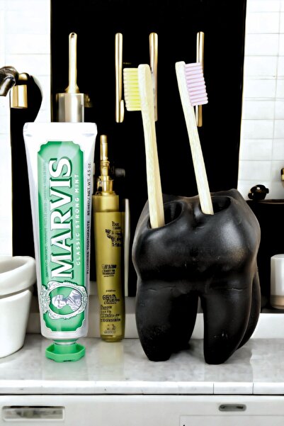 Star Master Diş Fırçası Kabı Diş Fırçalığı Fırçalık Siyah Renk Model 5