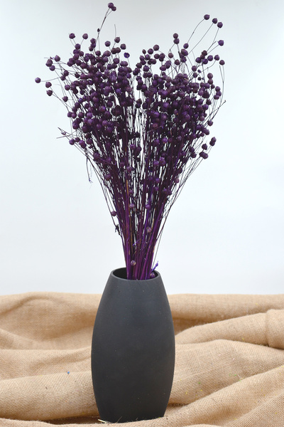 Dekora Çiçek عشبة الكتان المجفف (عشبة لونا) أرجواني