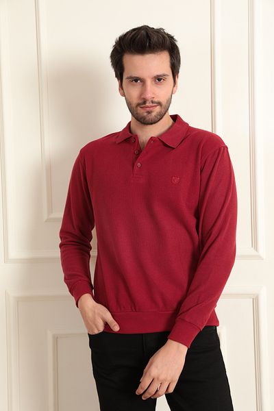 ModaPlaza Men's Polo Collar Sweat 108