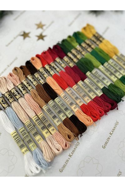 Dmc Muline Thread Set Christmas Colors 20 Pieces - With Scheming Gift