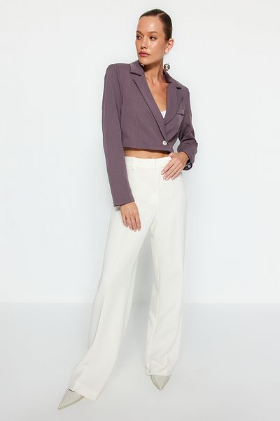 Trendyol Collection Graue, kurz gefütterte, gewebte Blazerjacke TWOAW22CE0086