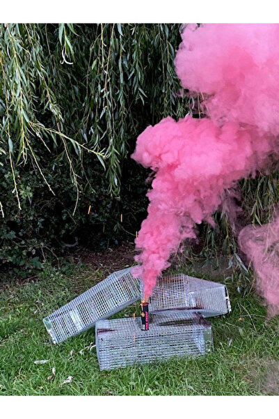 İRHANLAR 2 Adet Bebek Cinsiyeti Belirleme Partisi Pembe Sis Cinsiyet Belirlem...