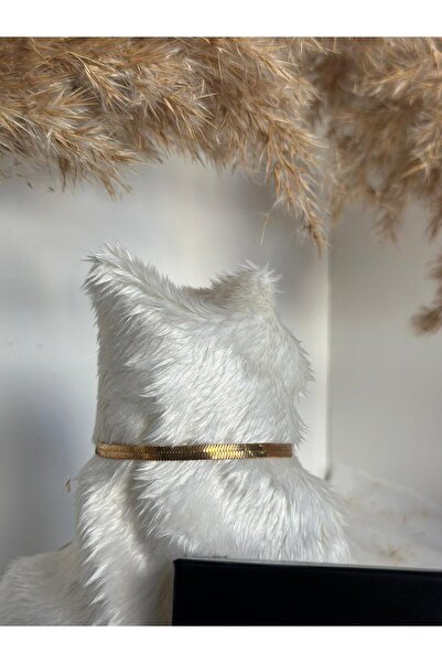 and store Italian Scratch Bracelet